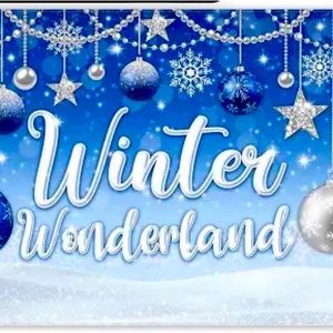 WINTER WONDERLAND ❄️❄️❄️❄️❄️